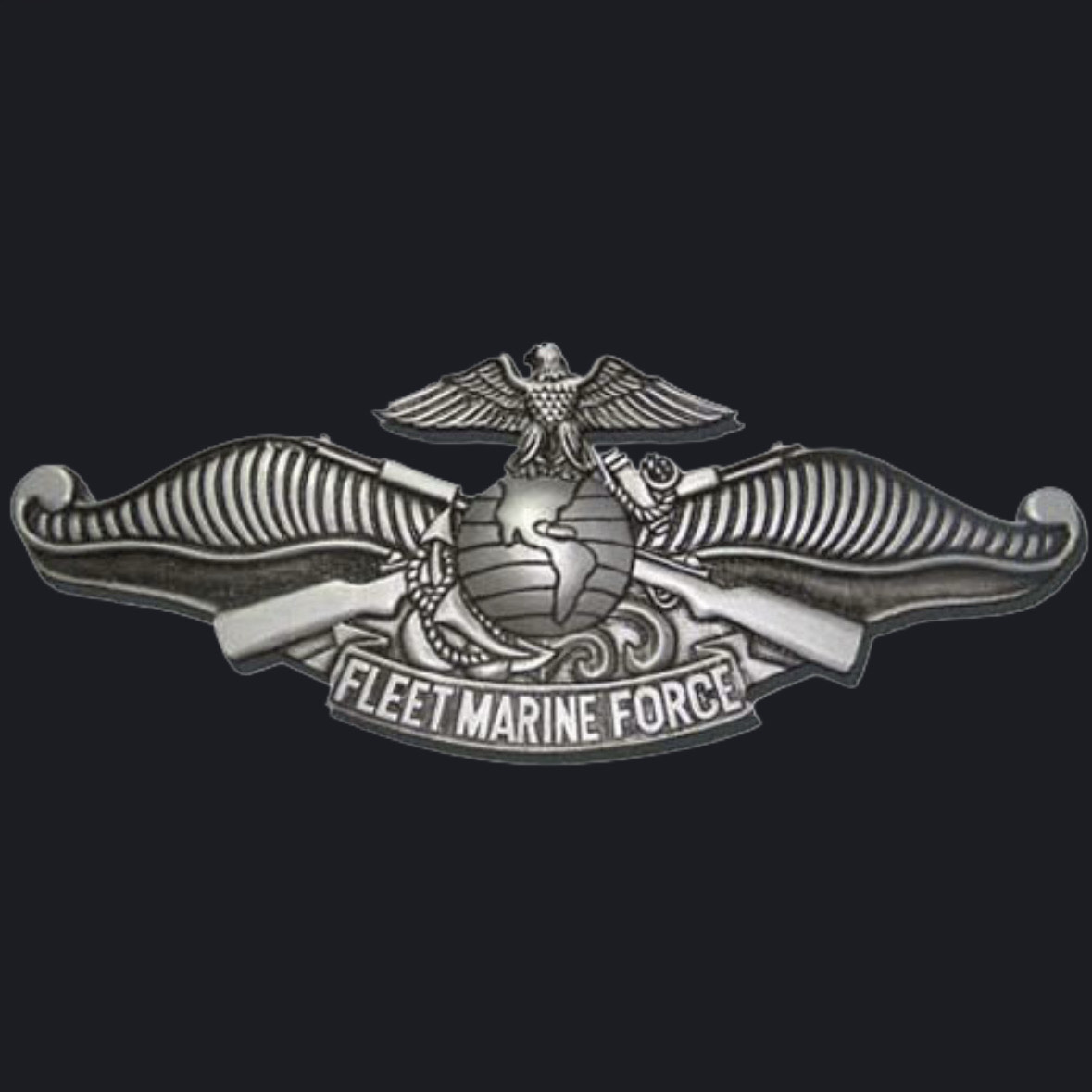 HM2 Bryan York Fleet Marine Force pin
